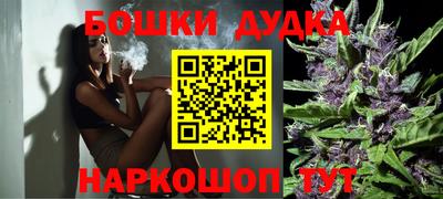 прущие грибы Краснодар