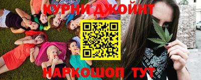 прущие грибы Краснодар